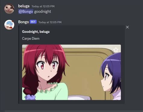 How To Use Bongo Discord Bot Bongo Bot Commands Cyberithub