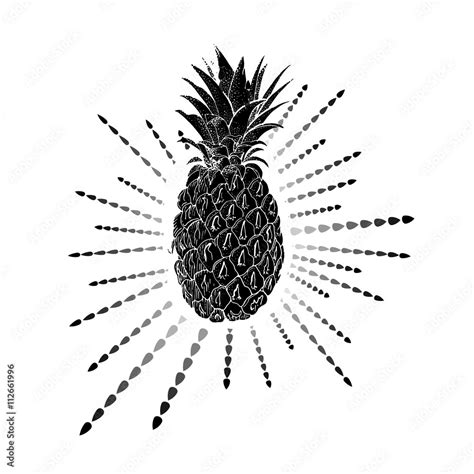 Hand Drawn Pineapple Vector Background Stock Vector Adobe Stock