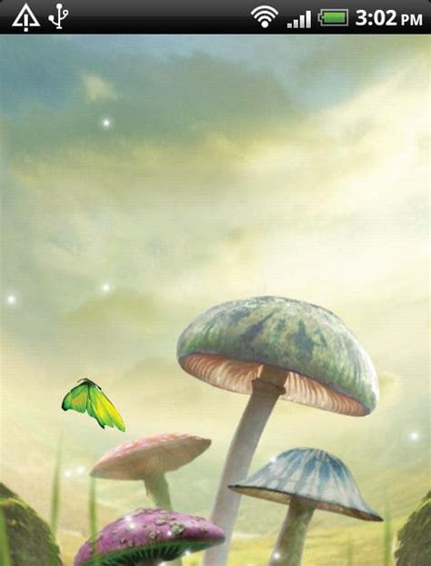 Magic Mushroom Live Wallpaper All Mushroom Info