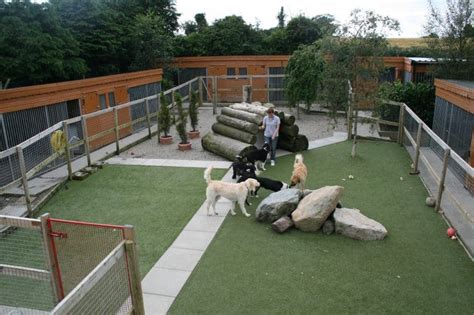 The Best Doggy Daycare And Boarding Kennels Near You Animalso