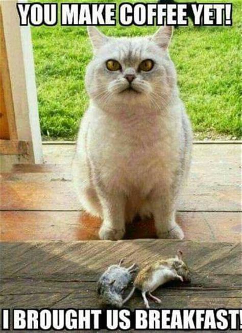 Funny Animal Picture Dump Of The Day 30 Pics