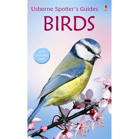 Bird In Everything Bird Encyclopedia Book