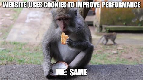 Monkey Cookie Imgflip