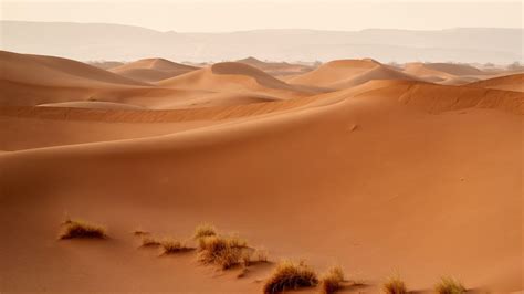 Download Wallpaper 2560x1440 Desert Dunes Hills Sand Nature