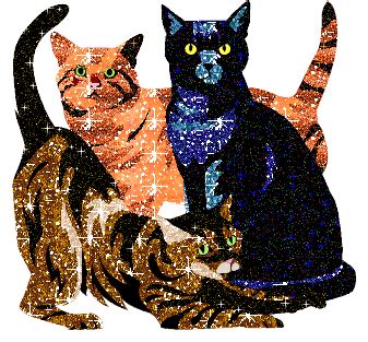 Glitter Graphics Graphic Pretty Cats Cute Cats Cats