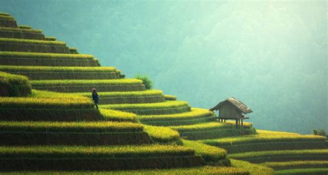 Top 84 Imagen Agriculture Background Hd Thpthoanghoatham Edu Vn