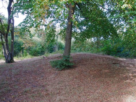 Burial Mound Norsey Wood © Roger Jones Geograph Britain And Ireland