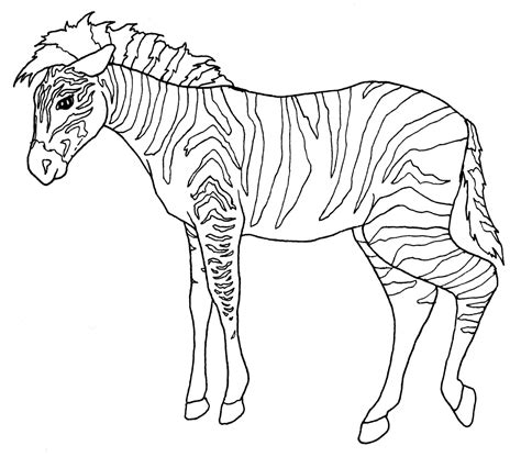 Coloring Pages Zoo Animals 115 Best Free Svg File