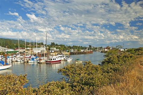 Maybe you would like to learn more about one of these? Fun Things to Do in Brookings-Harbor on the Oregon Coast ...