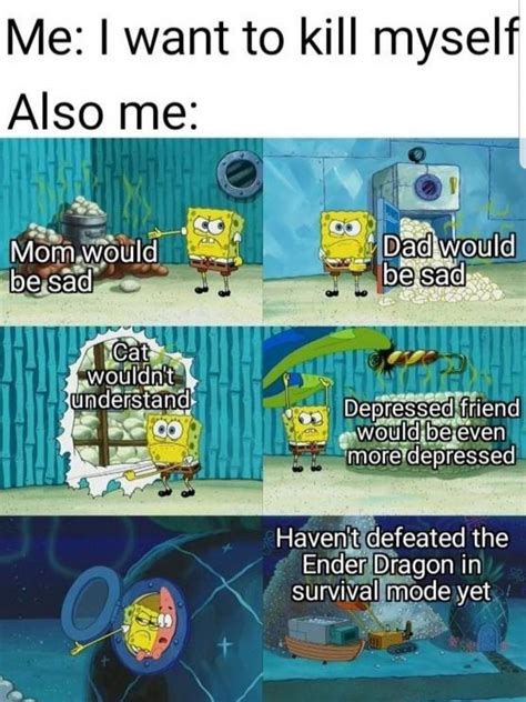 Spongebob Memes I Stole From Reddit Memes Amino