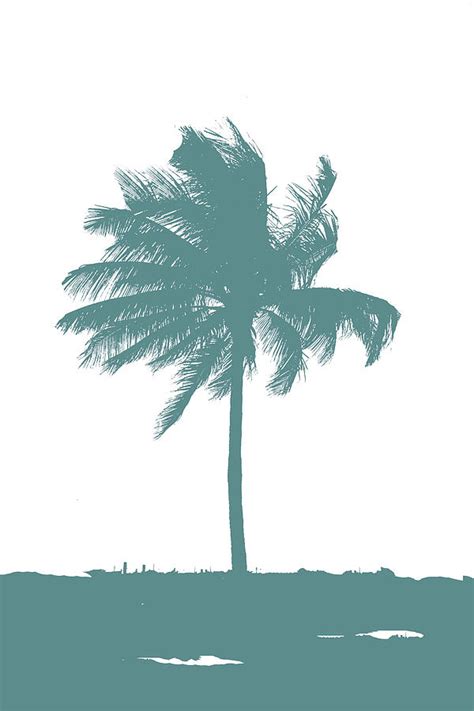 Palm Silhouette Teal Photograph By Darrell Hutto Fine Art America