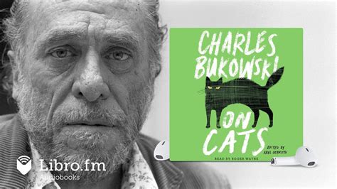 On Cats By Charles Bukowski Audiobook Excerpt The Cat Youtube