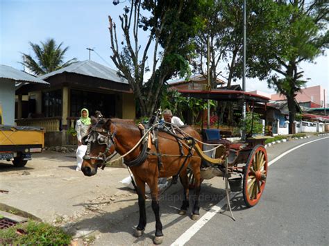 Cage) is the capital of the tanah datar regency of west sumatra, indonesia. Kota Batusangkar Kabupaten Tanah Datar ~ Bumi Nusantara