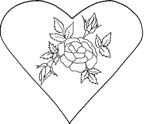 Valentine coeur isolé sur blanc. coloriage d'un coeur à la rose - Tête à modeler