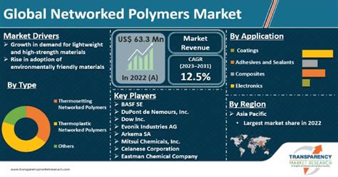 Networked Polymers Market Size Share Growth Report 2031