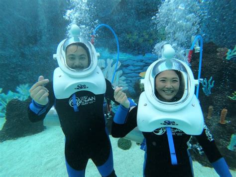 What You Need To Know Before Visiting Ocean Park Cebu Entrance Fees