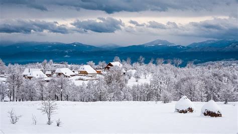Winter Landscape In Bucovina True Romania
