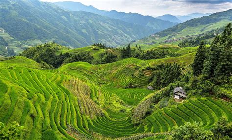 Rice Terraces Longsheng China By Pasquale Di Pilato On 500px