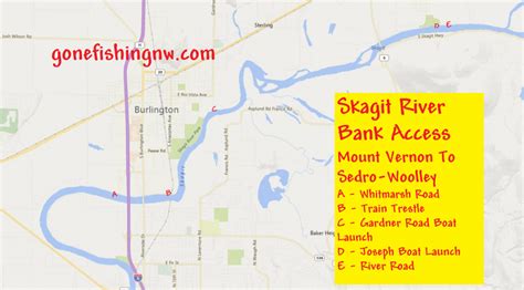 Skagit River Bank Access For Steelhead And Salmon Mount Vernon To