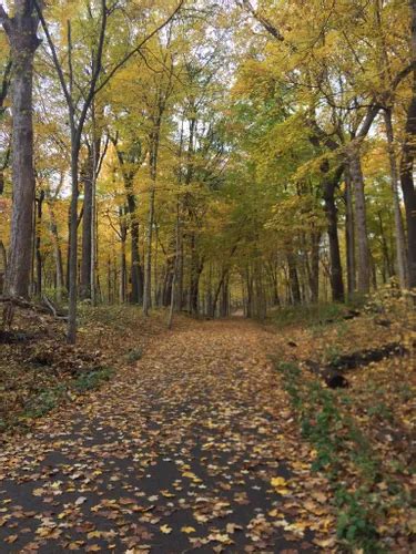 Best Hikes And Trails In Bliss Woods Forest Preserve Alltrails