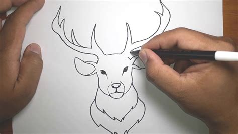 How To Draw Easy Deer Head Deer Drawing Deer Drawing Easy Deer Sketch