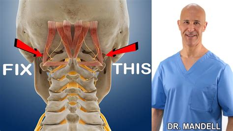 Stiff Neck Or Headaches Try This Quick Fix Dr Alan Mandell Dc