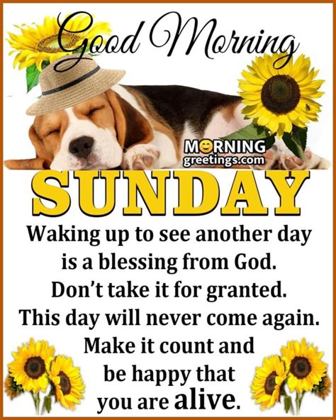 50 Best Sunday Morning Quotes Wishes Pics Morning Greetings Morning Quotes And Wishes Images