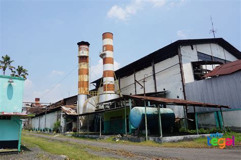 Pabrik garmen di balamoa tegal. Sejarah Pabrik Gula (Suiker Fabriek) di Tegal | infotegal