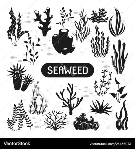 Underwater Silhouettes Seaweed Coral And Algae Vector Image