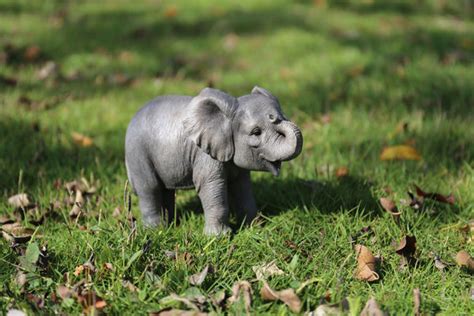 Buy Pet Pals Elephant Baby For Sale Online In Usa And Canada