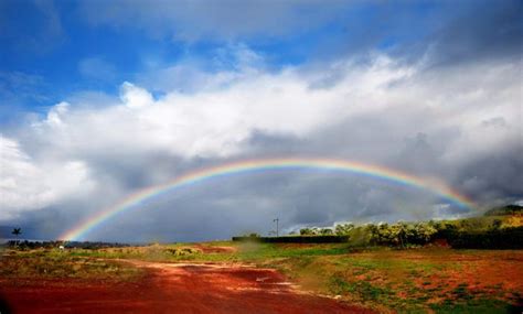 23 Reasons Why Hawaii Is The Best State Hawaii Country Roads Natural Landmarks