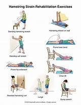 Back Rehab Exercises Pdf Pictures