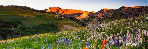 Hobbs's answer to how's the drive from los angeles to las vegas? Book flights to Salt Lake City (SLC) | Frontier Airlines