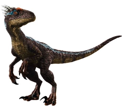 Jp3 Male Raptor By Psittacosaurus On Deviantart