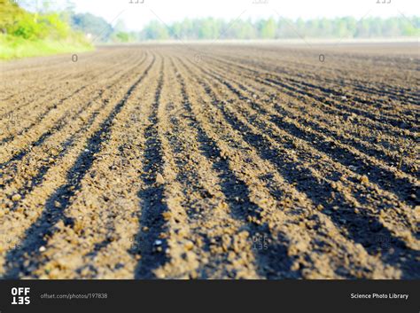 Freshly Plowed Field Offset Collection Stock Photo Offset