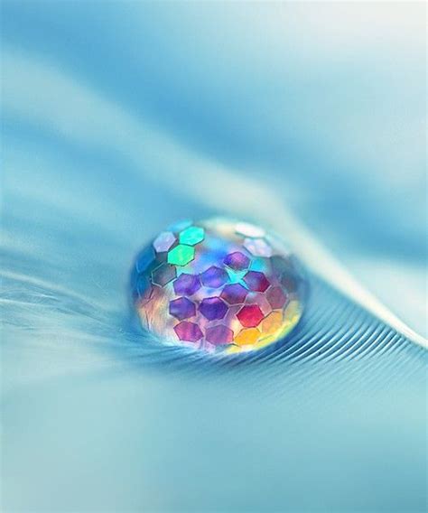 Rainbow In A Drop Of Water Water Droplets Photography Abstract