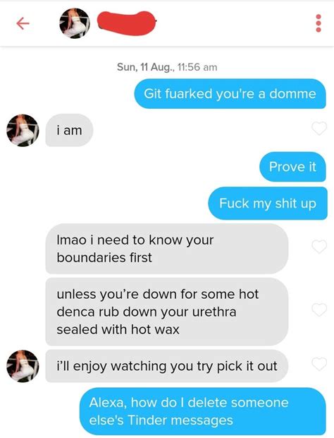 The Best And Worst Tinder Profiles And Conversations In The World 175