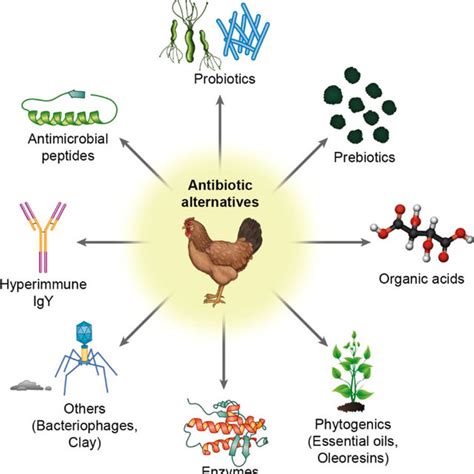 Various Classes Of Antibiotic Alternatives That Are Available For Use