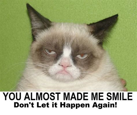 Smile Grumpy Cat Funny Stuff Pinterest