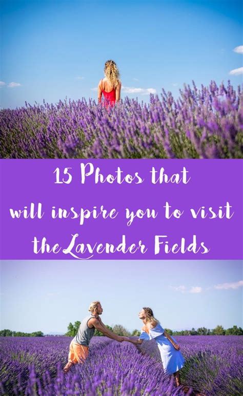 15 Photos That Will Inspire You To Visit The Lavender Fields ⋆ One Love