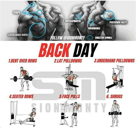 5 Day Workout Split Back Day Workout Workout Splits Daily Workout