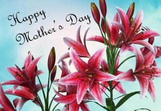 18 Mother S Day Facts That Will Enrich Your Life Wow Gallery EBaum