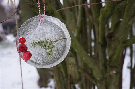 Et sted som byens borgere og mange tilrejsende har taget til sig. Eiskunst im Garten // DIY Winter - Reges Leben | Eis kunst ...