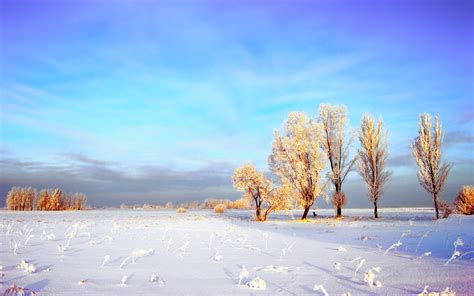 Winter Landscape Wallpaper Full Hd Pixelstalknet