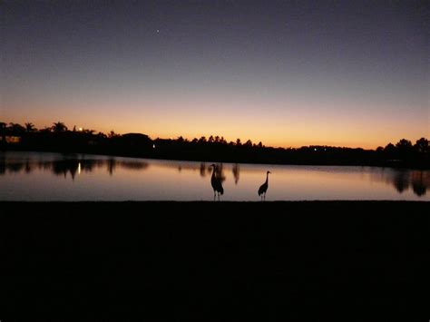 Kings Point Sun City Center Residents | Sun City Center FL