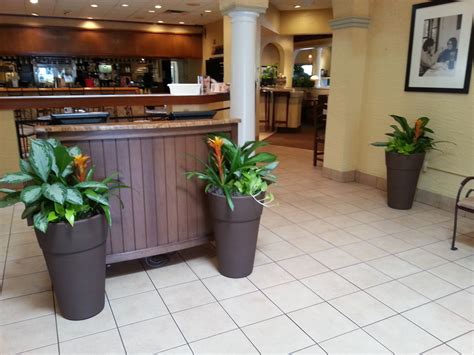 Benefits of working at olive. Some gorgeous planters we recently installed at the Olive ...