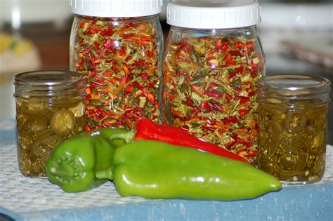 1 teaspoon tabasco pepper sauce. Tabasco Pepper Canning Recipes | Deporecipe.co