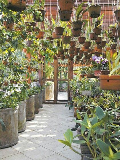 10 Orchid Shade House Ideas Shade House Orchid House Backyard