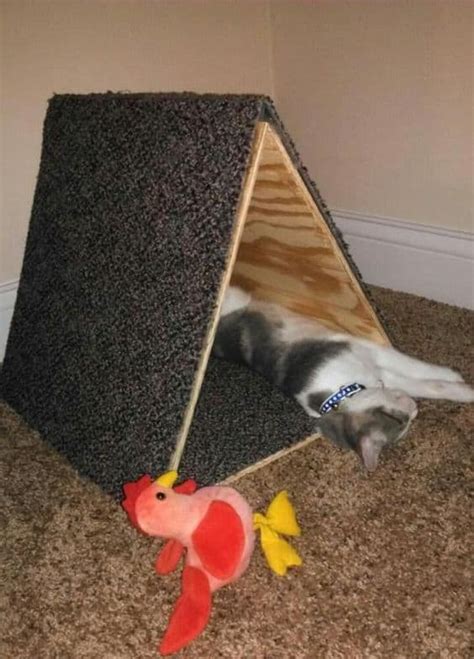 Cat scratcher cat house cat diy modern pet modern pet beds gifts for pet lovers pet bed cat toys cat bed. 15 Super Fun DIY Cat Tent Ideas to Pursue | Homesthetics ...