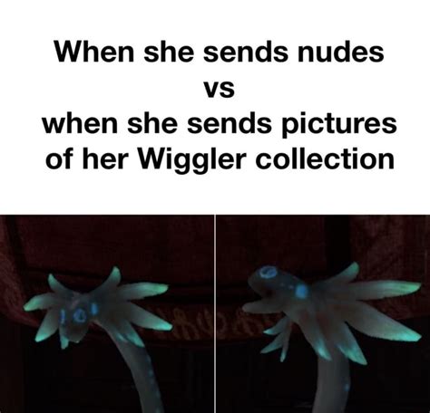 When She Sends Nudes Vs When She Sends Pictures Of Her Wiggler